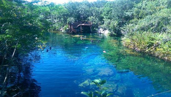 Cenote Jardín del Edén